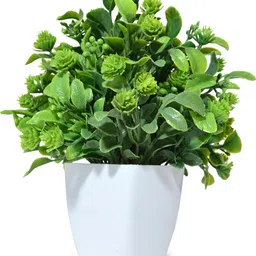 risempire Artificial Flower Bunch For Home Decoration (Pack Of 5) Green Wild Flower Artificial Flower with Pot image 2