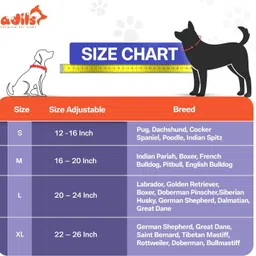 SPARROW DAUGHTER SPIKE DOG COLLAR Dog Everyday Collar image 4