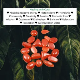 yadav en Most Attractive Coral Ring Women and Men Brass Coral Silver Plated Ring image 2