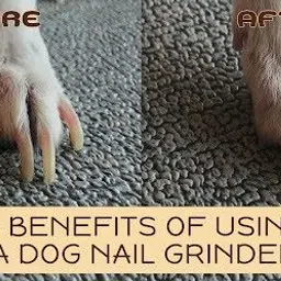 hachiko Scissor Nail Clipper image 3