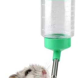 Water Bottle Feeder for Hamsters, Guinea Pigs, Mice & Rabbits | Random Color Plastic Pet Bottle-image-23