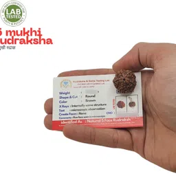 hart eye Beads Wood Locket Set image 2