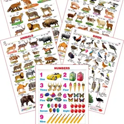spectrum Set of 5 Educational Large Wall Charts : ( Wild Animals , Domestic Animals , Animals , Birds & Numbers 1-10 )-picture-10