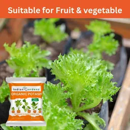 indian gardens Organic Potash fertilizer Fertilizer image 2