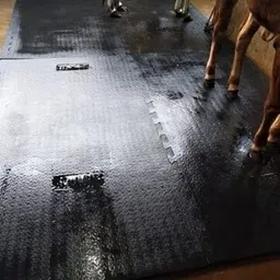 Feeding Mat Waterproof Black Cowmat Easy Clean With Raised Edges Cow, Dog, Hamster, Guinea Pig, Miniature Pig Pet Mat-image-13