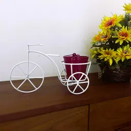 mythree agrotech Bicycle with Bucket Planter 1022-A Garden Gnome-picture-10