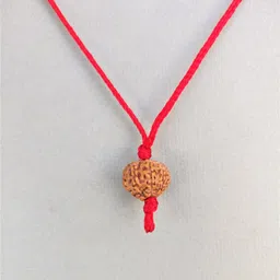 jupiter speaks Lab Certified 9 Mukhi Rudraksha Pendant Indonesian, 100% Original Bead Size 14-18 mm Brown Color Red Silk Thread for Men and Women Wood Pendant image 3