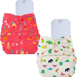 bumberry Reusable 2 Pocket Cloth Diaper With 2 Microfiber Insert For Babies 6-36 months-picture-14