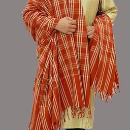 Vrinde Wool Checkered Men Shawl image 2