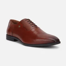 louis philippe Oxford For Men image 1