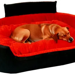 snupi smile Dog Bed, Sofas Bed & Chairs Bed With Coller XXXL Pet Bed-picture-23