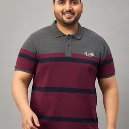 austivo Men Striped Polo Neck Cotton Blend Multicolor T-Shirt-picture-12