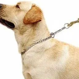 scart Dog Chain with both Corner Rings for Multipurpose Use(Length - 4 Feet) Pet Wheelchair-picture-23