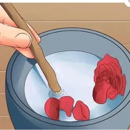 rehana sales HARBEL Miswak Medium Toothbrush (Pack of 4) Teeth Wipe image 3