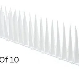 plastkart Bird Spike-picture-45