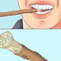 fateh Miswak Natural Toothbrush Sticks (Pack fo 3) Soft Toothbrush image 2