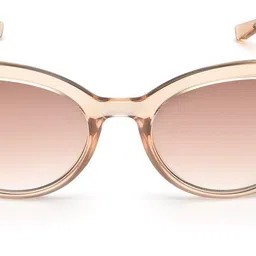 Gradient Cat-eye Sunglasses (54)-image-70