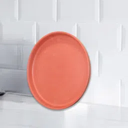 terra charms Rustic 11-Inch Clay Plate for Snacks - Ideal for Home Entertaining Quarter Plate-picture-21