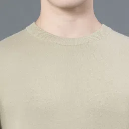 red tape Men Solid Round Neck Light Green Sweater image 4