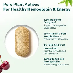 oziva Iron with Folic Acid | For Healthy Haemoglobin Levels | With Vitamin C & B12 image 3