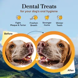 dogsee chew Small Bars|100% Natural Himalayan Vegetarian Yak Chew Sticks-100 gm Cheese Dog Chew image 3