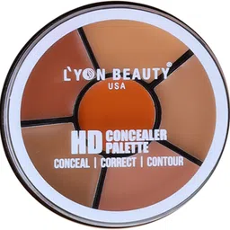 l'yon beauty HD CONCEALER PALETTE Concealer image 2