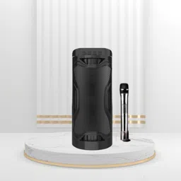 SACRO Bluetooth Party Speaker Long Battery Life With Crydtal Sound & Deep Bass F289 30 W Bluetooth Laptop/Desktop Speaker-image-38