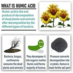 gardenica Natural Humic Acid Fertilizer For Plant Growth Enhancer and improves Plant Root Potting Mixture image 4