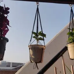 iyal ropes Pot Hangers Black image 2