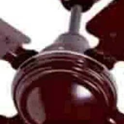 polycab Zoomer 600mm Fan, 800 RPM, 100% Copper Motor, Anti-Rust Coating, 2Y Warranty 1 Star 600 4 Blade Ceiling Fan-picture-16