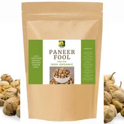 vahni paneer phool Seed-picture-24