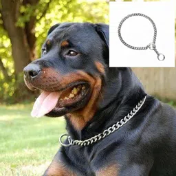 the unique Stainless Steel Chock Chain for Dog 10 No, 24 Inch Dog Anti-tick Collar image 4