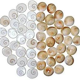 vinayakmoorti gomati chakra gumati chakralu Stoneware Yantra-picture-25