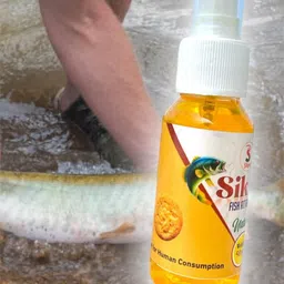 sikme Biscuit flavour Scent Fish Bait image 2