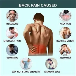 fido Lumber Support LS Belt Lower back waist Support for Unisex Adjustable Compression Back / Lumbar Support image 3