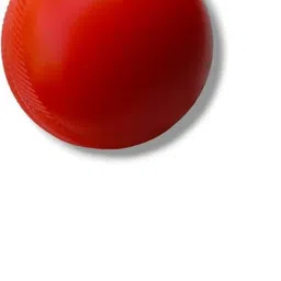 zee square llc Heavy Plastic Cricket Training Balls 80 gm Red Plastic Ball SL-11 Cricket Training Ball image 2