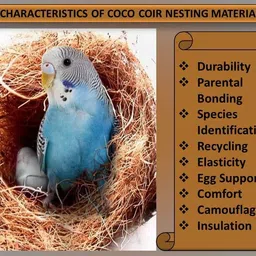 mashki 200 Grams Coconut Loose Fiber Bedding Substrate Laying Eggs for Birds Nest Cages Bird House image 2