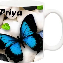 stylotrendz Special Gift for Girl,Wife,GF,Sister,Mom- PRIYA Beautiful Butterfly HD theme Printed Coffee Ceramic Coffee Mug-picture-21