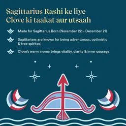 pujashree Zodiac Dhoop Cones Sagittarius Clove image 4