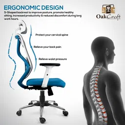oakcraft Hurricane High Back Ergonomic Chair with Multi Synchro Mechanism Mesh Office Adjustable Arm Chair image 2