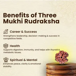 dayalu store 3 Mukhi Rudraksha Certified Nepali Bead | Original three Face teenmukhi Beads Wood Pendant image 3