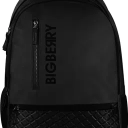 bigberry Medium 28 L Laptop Backpack Newage Classic Genuine PU Black Backpack with Multiple Compartments & Organiser image 3