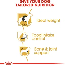 royal canin Beagle 3 kg Dry Adult Dog Food image 3