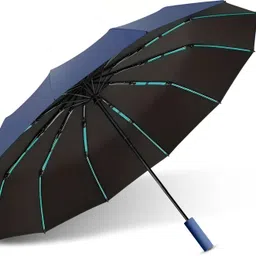 12-Rib Windproof Folding Umbrella – Auto Open/Close Umbrella-image-41