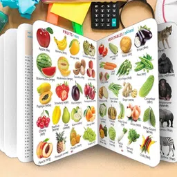 toyvision Down Price All in one book kids My First book for kids Learning Picture Book-picture-11