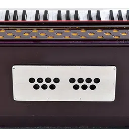 jaaze x00 x00 3.5 Octave Hand Pumped Harmonium image 4