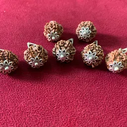 rudraksham 6 Mukhi Nepali Rudraksha Pendant With Certificate Of Authenticity (Set of 7) Silver Brass Locket Set-picture-34