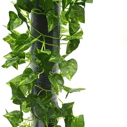 shreeradhearts Artificial Money Plants Wall Hanging Creeper Party Decor Home Decor Aesthetic Green Wild Flower Artificial Flower image 3