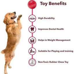 wagtalez Multicolour Spike ball Rubber Ball For Dog image 3