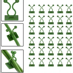 alwafli Plant Climbing Wall Clip Self-Adhesive Invisible Plant vine Support Straightener Hook 1-picture-10
